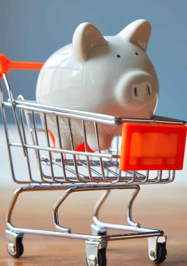 6 Steps to Budget Shopping